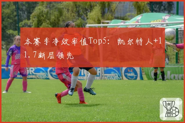 本赛季净效率值Top5：凯尔特人+11.7断层领先