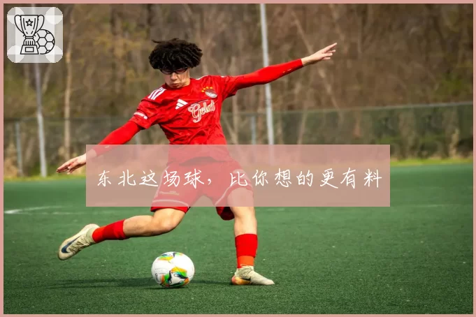 东北这场球，比你想的更有料