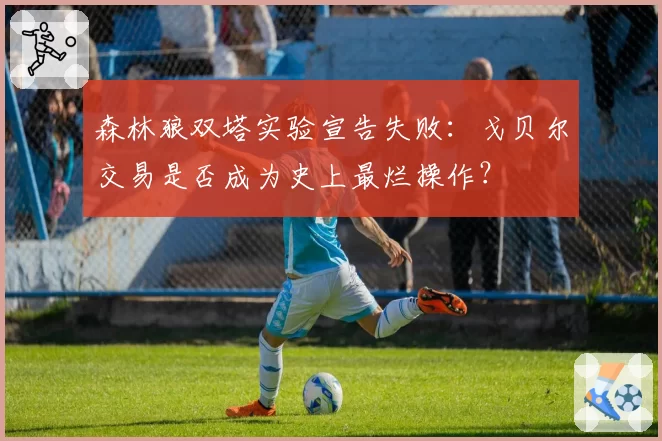 森林狼双塔实验宣告失败：戈贝尔交易是否成为史上最烂操作？