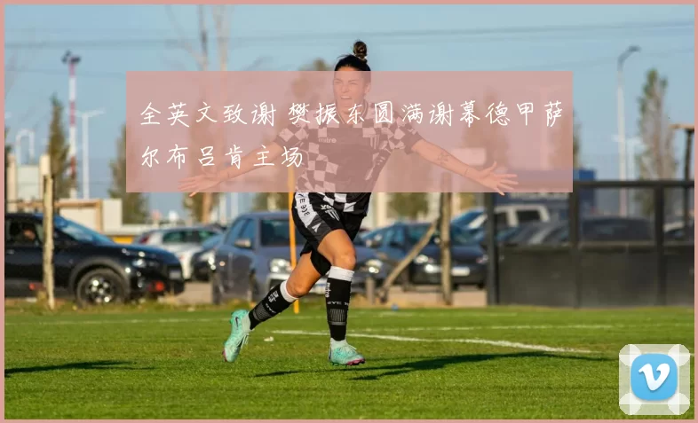 全英文致谢 樊振东圆满谢幕德甲萨尔布吕肯主场