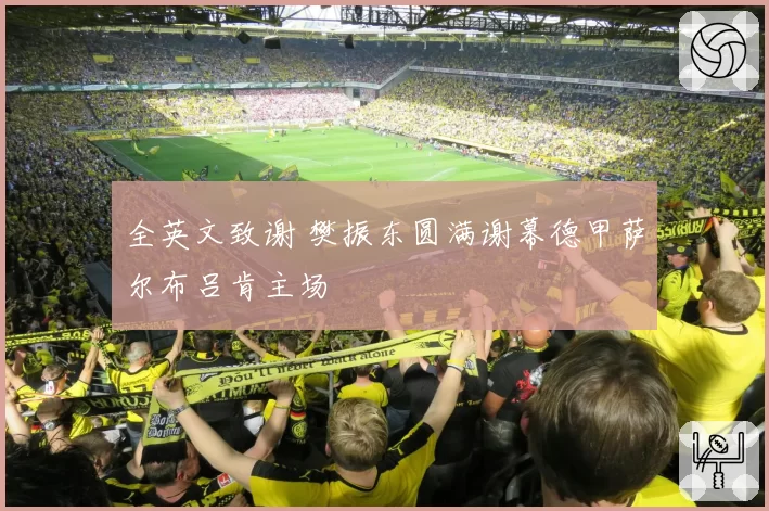 全英文致谢 樊振东圆满谢幕德甲萨尔布吕肯主场