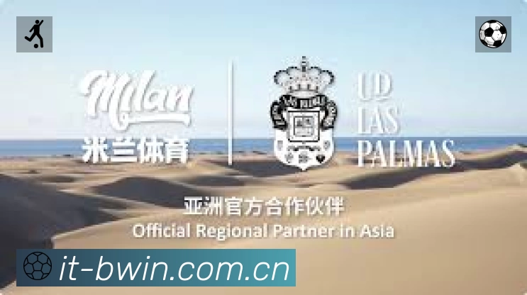 回放与集锦入口